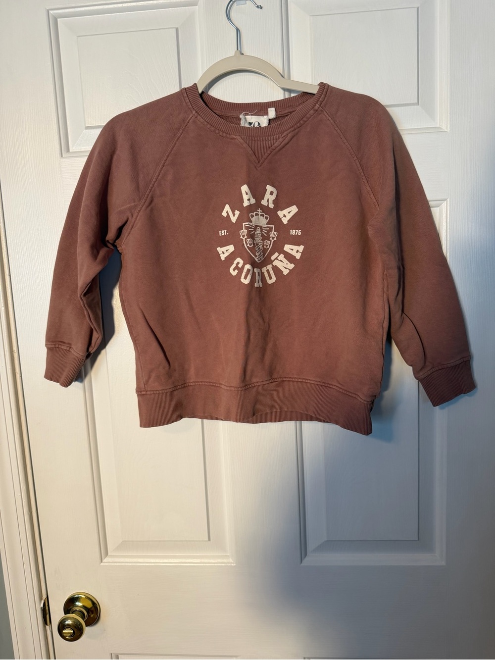 Zara Dusty Mauve Graphic Crewneck Sweatshirt